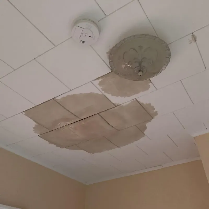 Ceiling Water Damage Repair in Urbana, OH