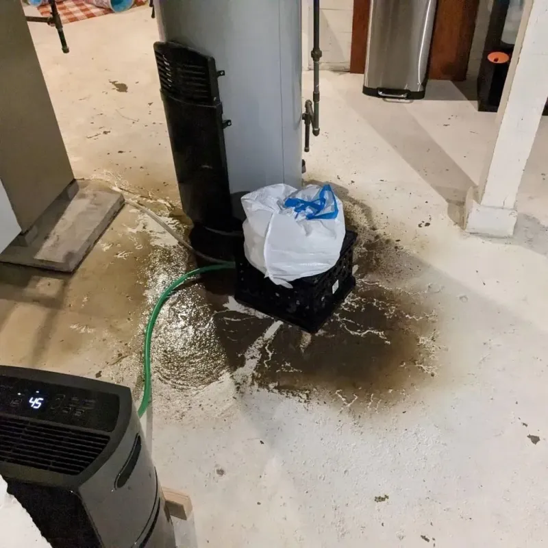 Sewage Backup Cleanup Service in Urbana, OH
